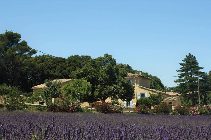 Mas Provençal, restauration authentique, avec 2 gîtes et piscine - Secteur Grignan