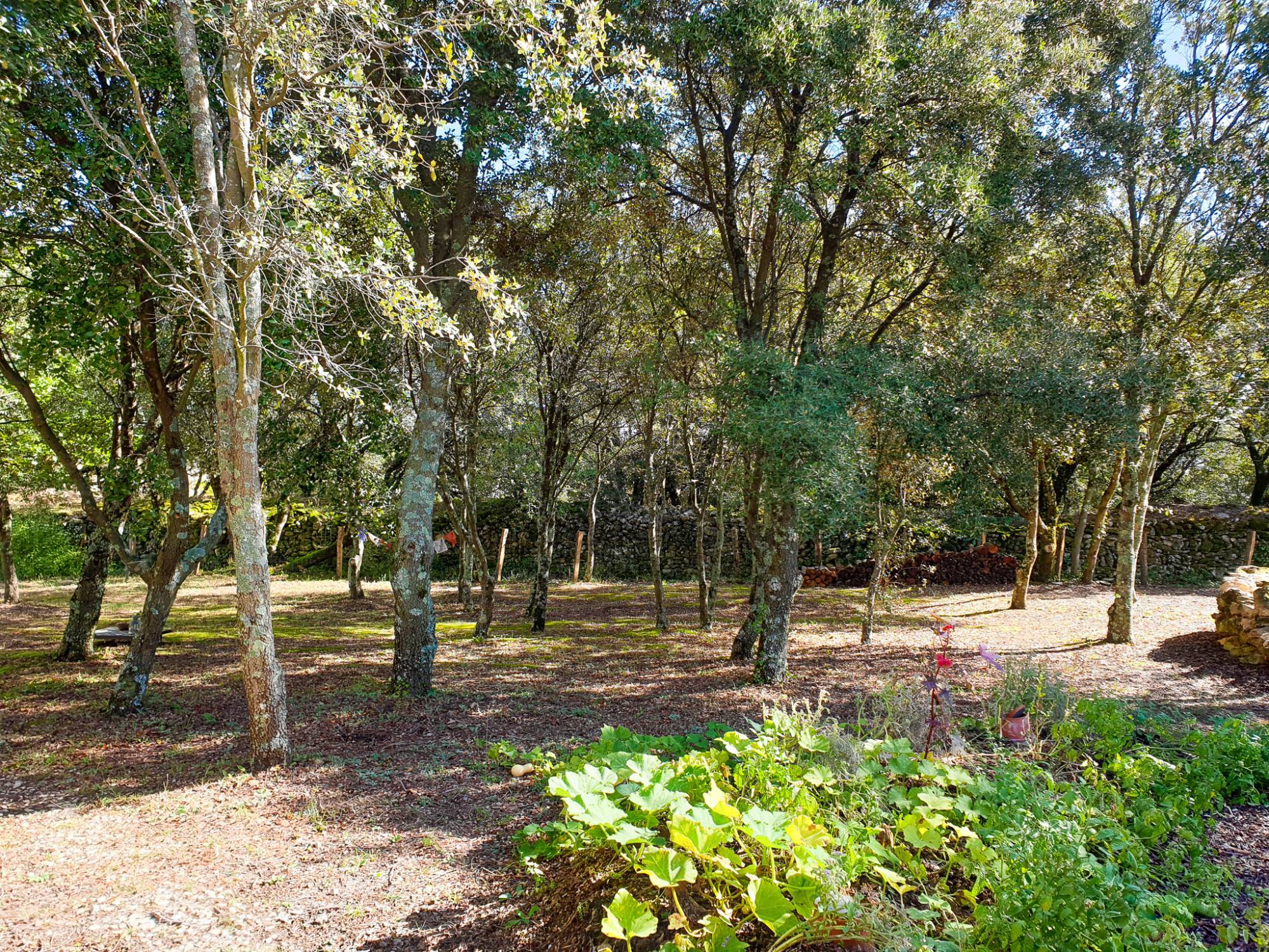 Exclusivité sur ST Restitut propriété de charme vendue par nos soins ST Restitut  