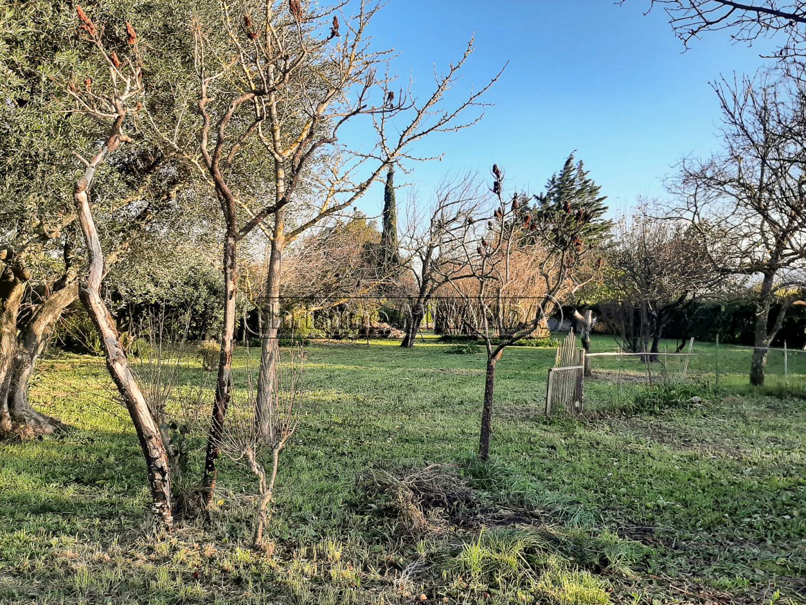 A vendre, dans le Gard Mas en campagne Bagnols sur Cèze  
