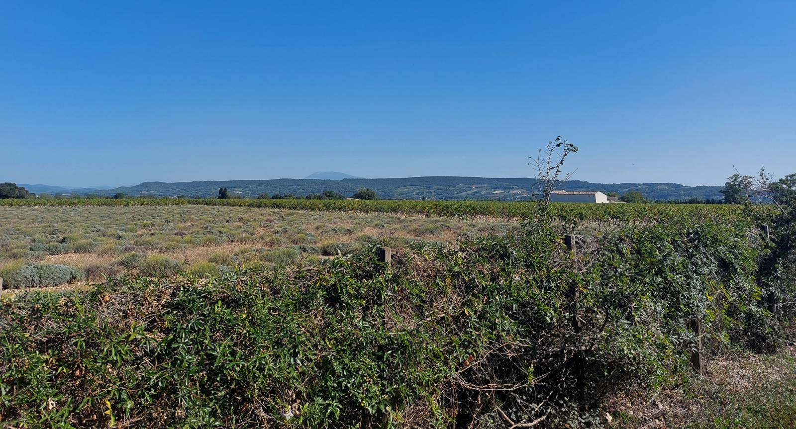Réf 4245- A vendre villa dans bel environnement SUZE LA ROUSSE  