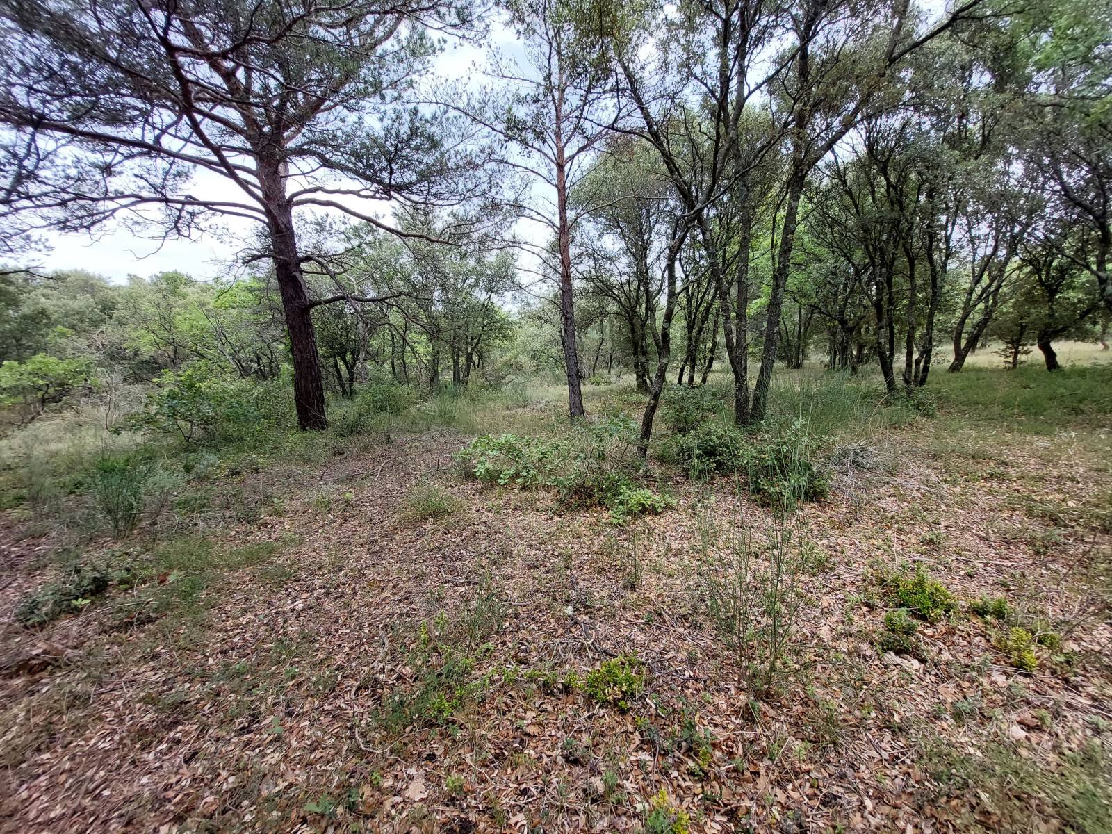 terrain à vendre Grignan