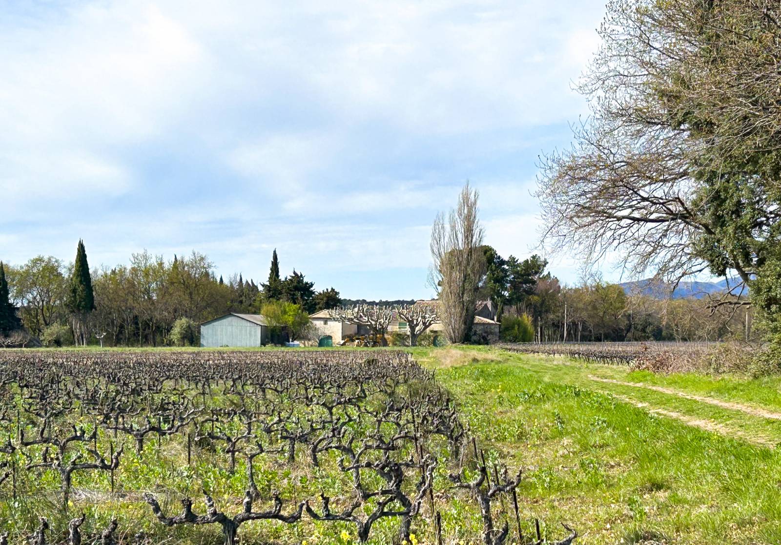 Ref 4322- A vendre jolie propriété à rénover - Drôme Provençale   