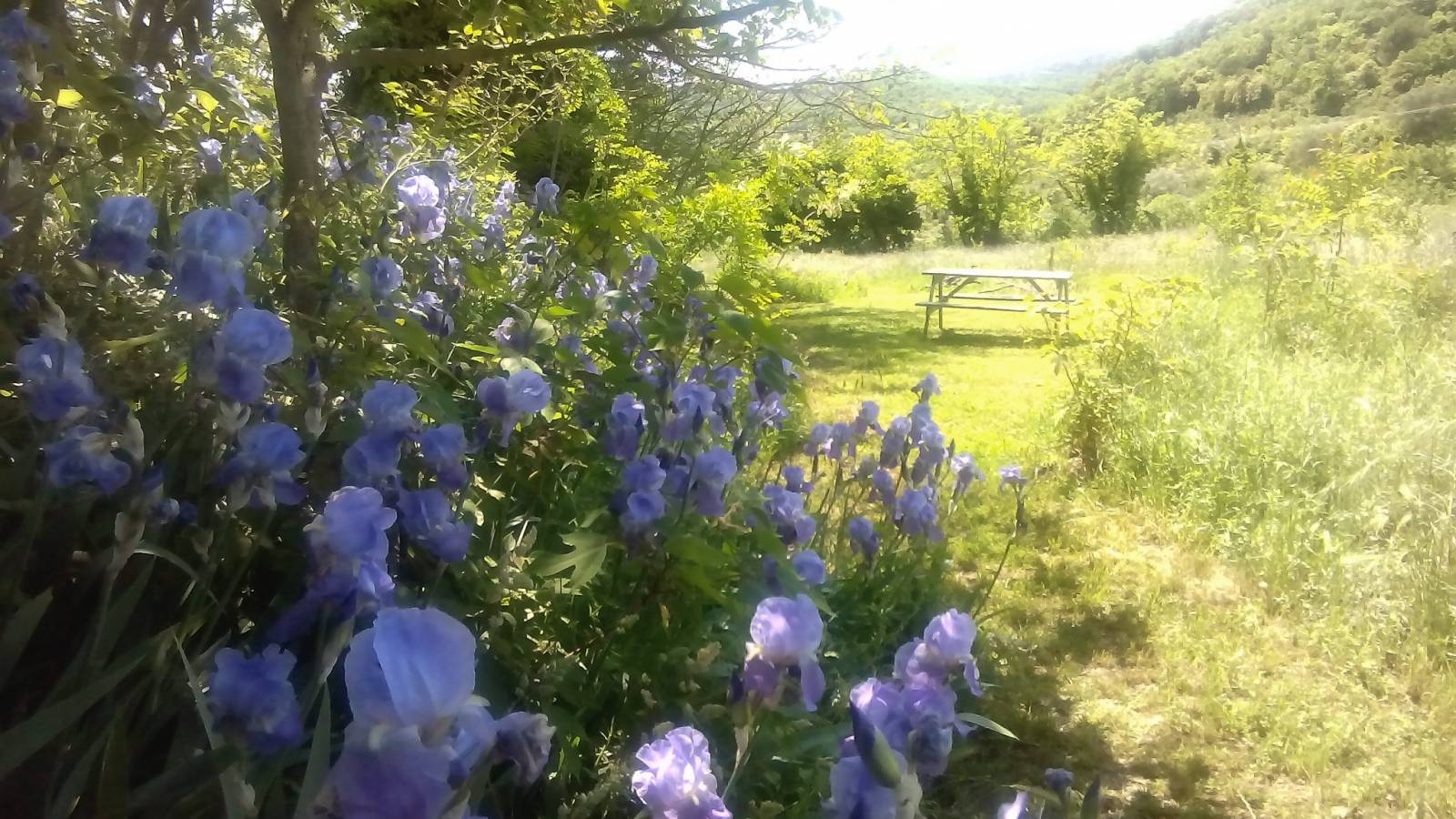 Réf 4215 - A vendre jolie ferme dans charmant village SAINT PAULET DE CAISSON  