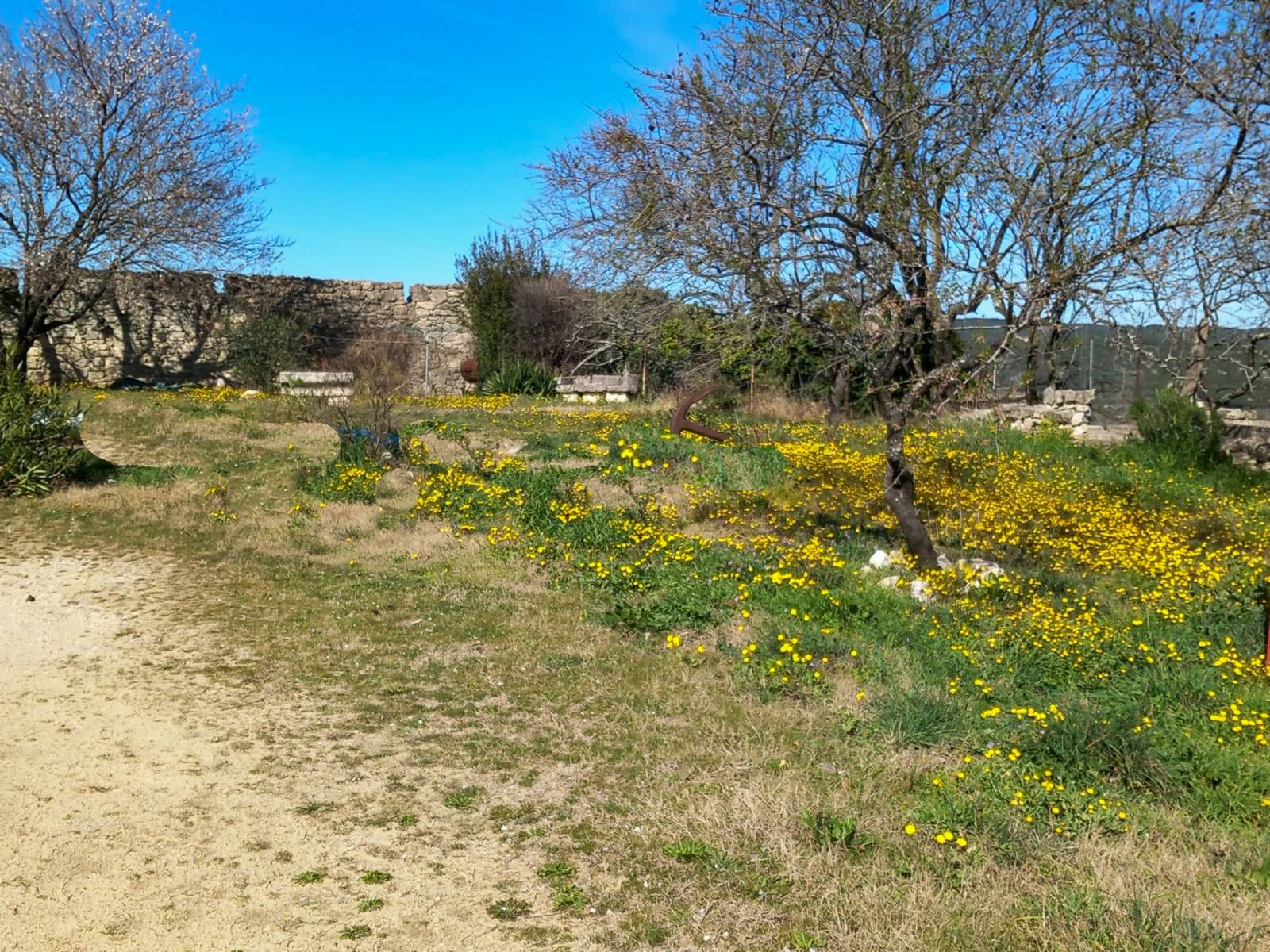 A vendre centre Saint Restitut - projet d'ensemble   