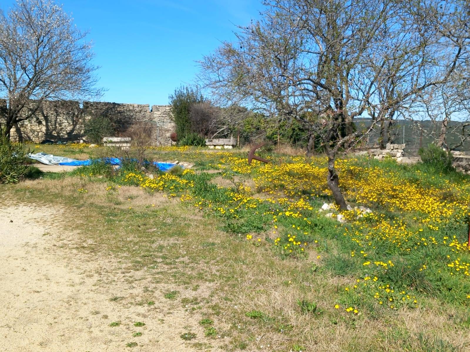 A vendre centre Saint Restitut - projet d'ensemble   