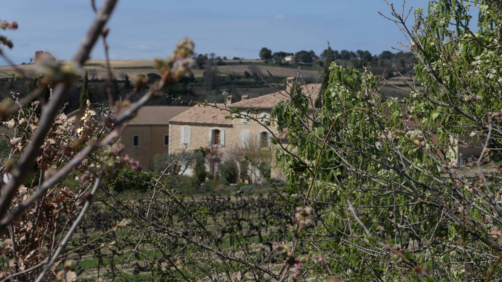 A vendre,  Domaine viticole opérationnel Enclave des Papes  CERTIFIE BIO