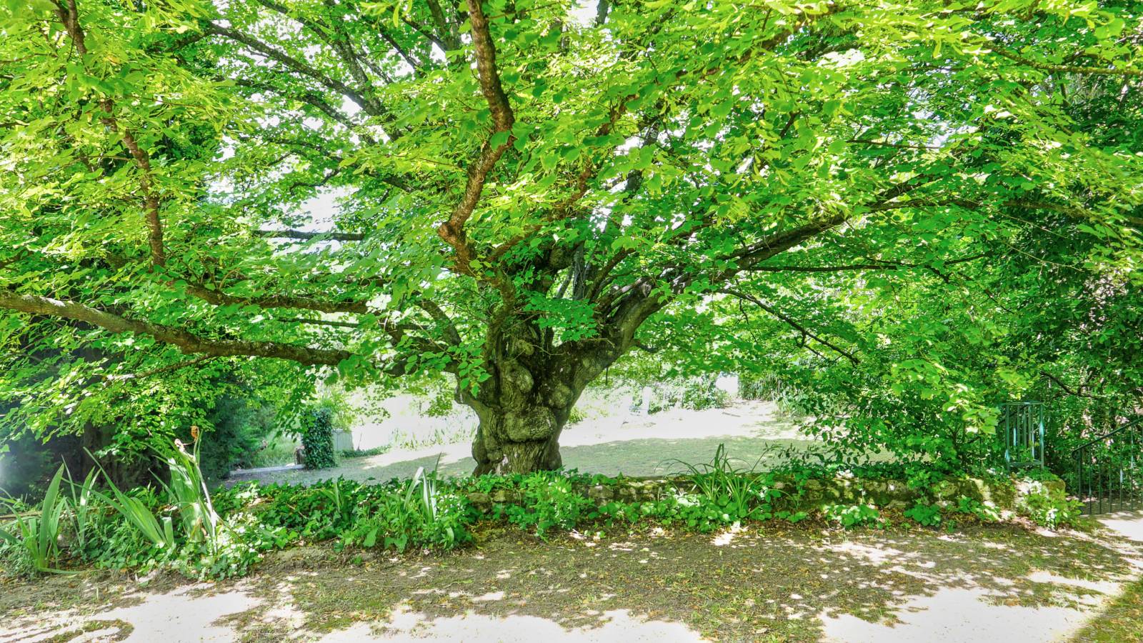 A vendre, Mas de village A quelques minutes de Grignan Piscine 