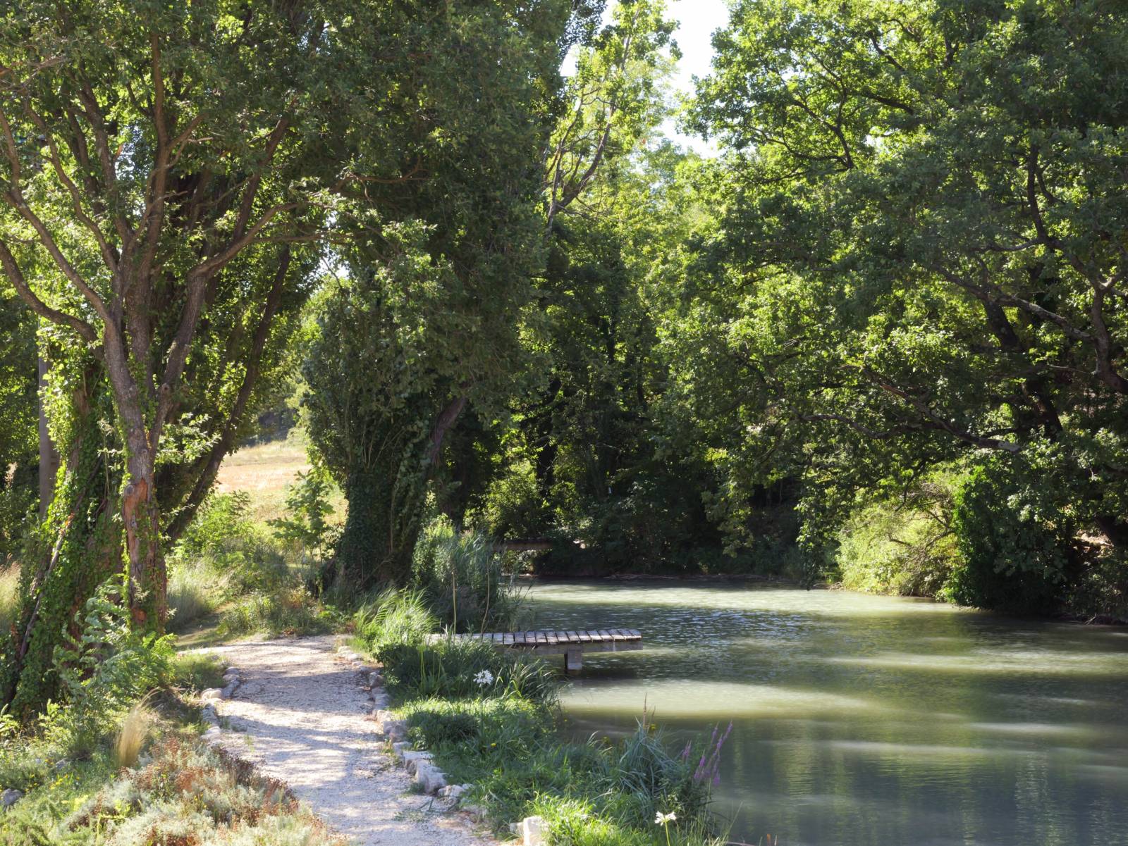 A vendre propriété pleine de charme Grignan  