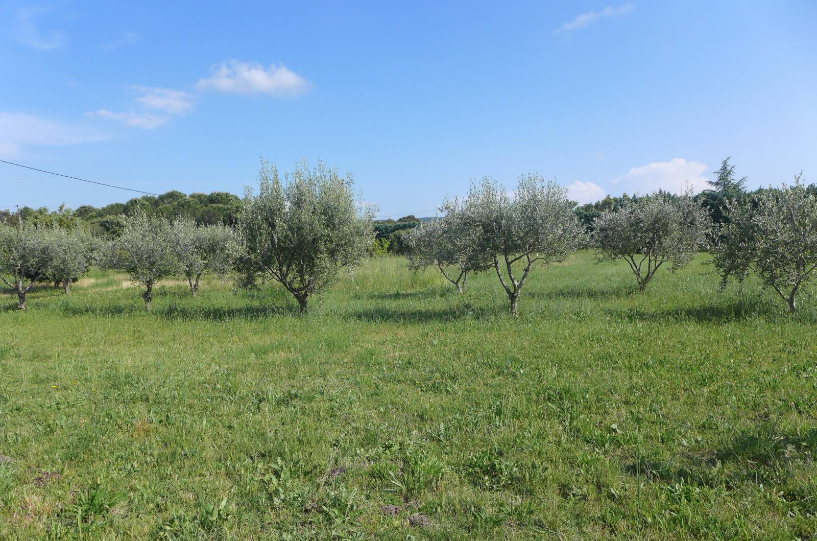 A vendre villa dans la campagne de Visan - Réf 4186   