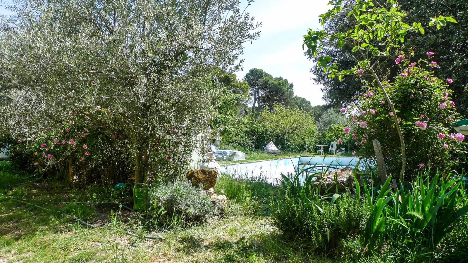 Réf 4154- Haut Vaucluse, à vendre une propriété au charme d'antan   