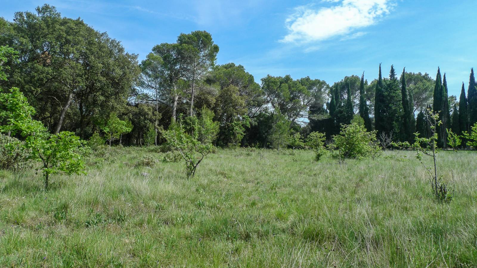 Réf 4154- Haut Vaucluse, à vendre une propriété au charme d'antan   