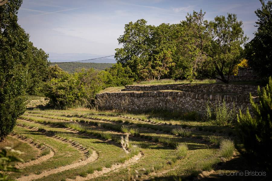 Une propriété d'exception... Drôme Provençale vendue décorée et meublée