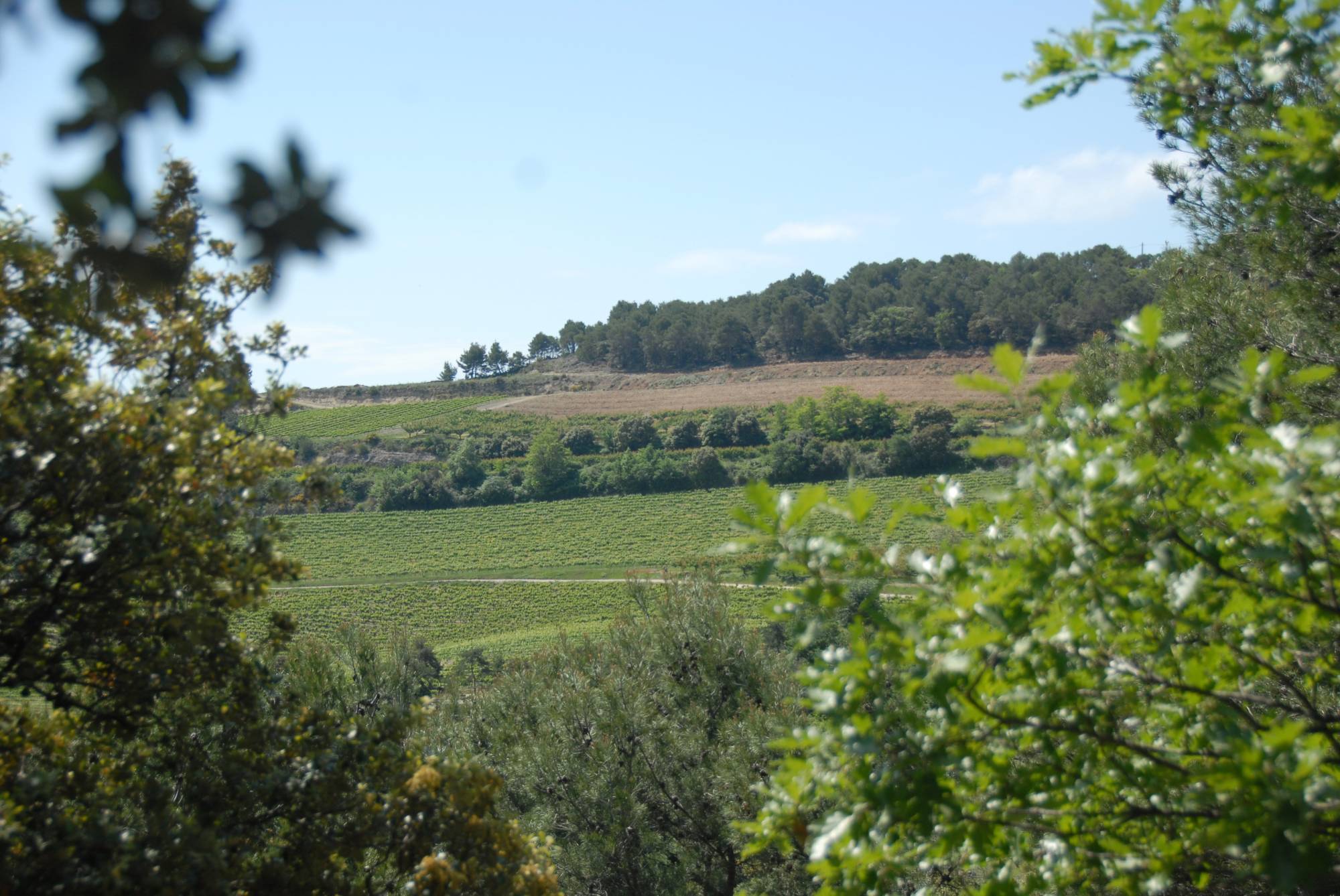 proche de Nyons, propriété idéale pour une activité d'accueil