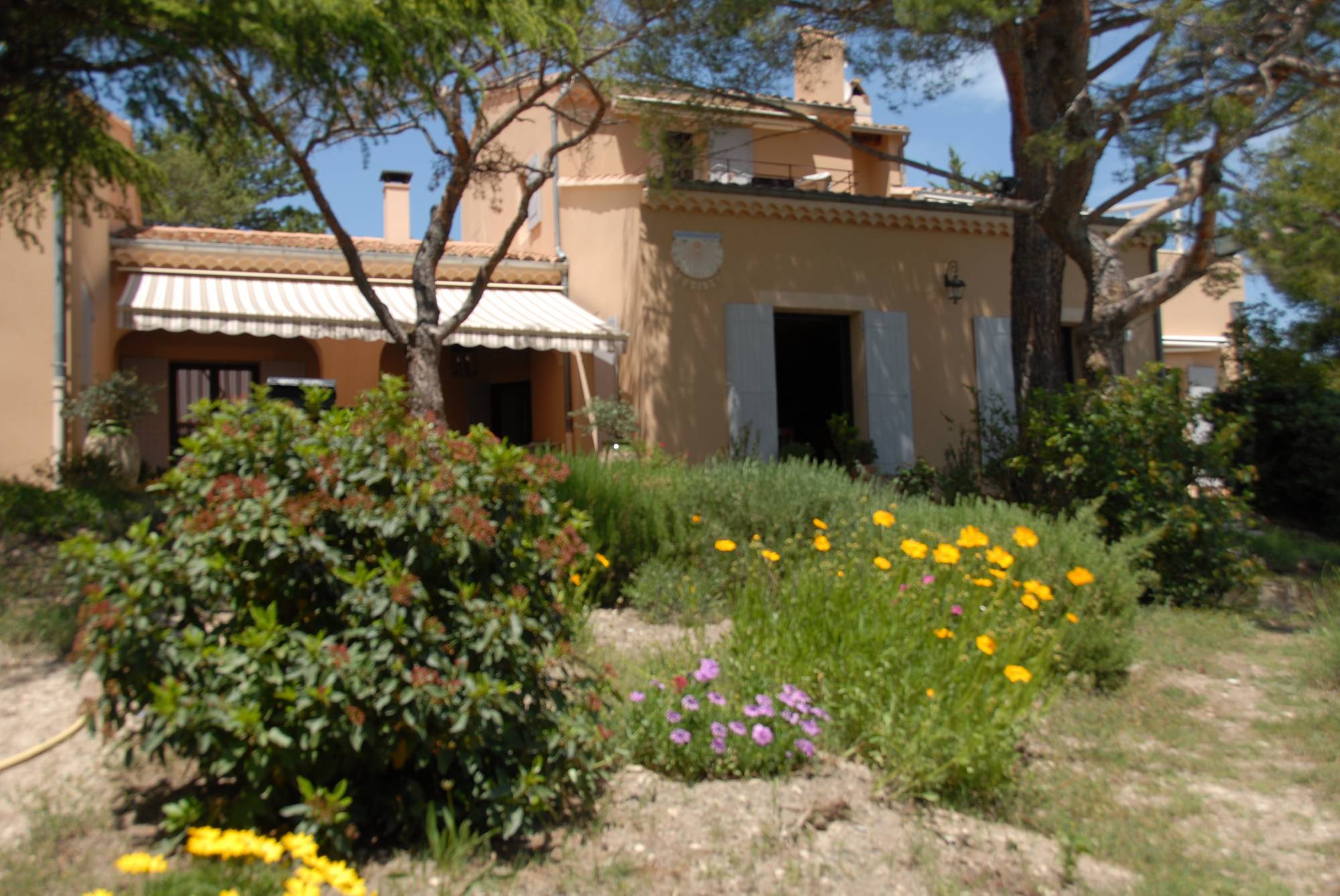 dans environnent paisible au milieu des pins 