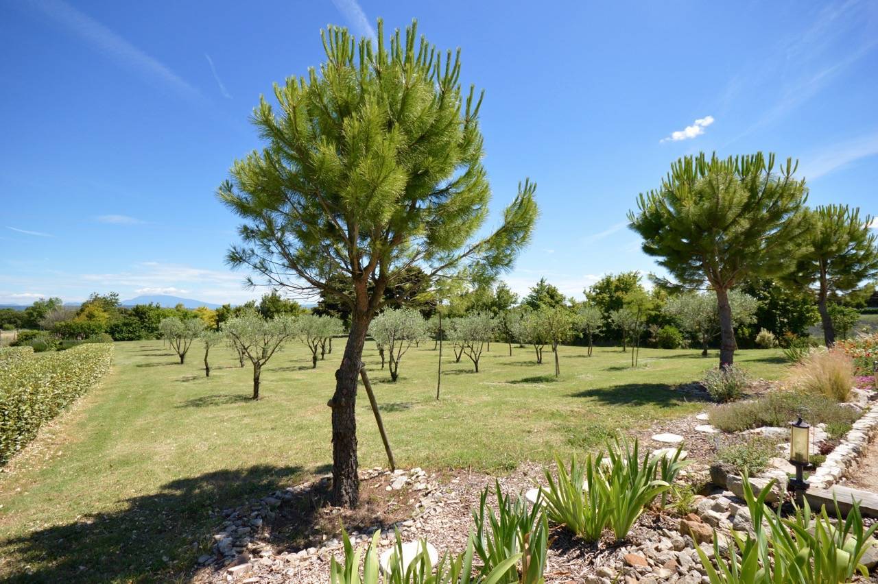 a vendre secteur Grignan propriété de caractere
