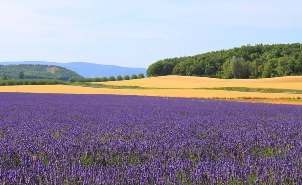 Un pied à terre à Grignan