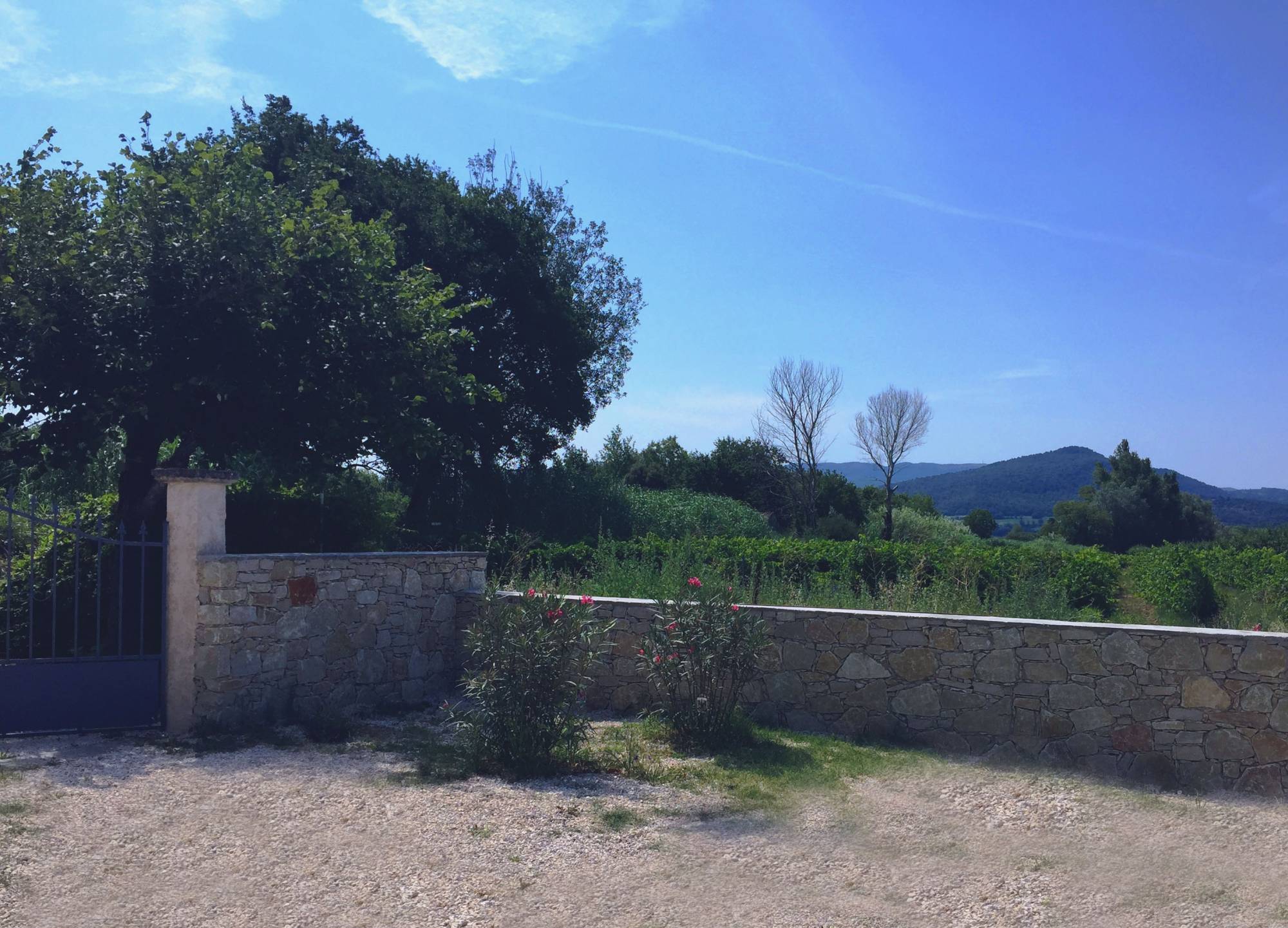 Villa à vendre à villedieu 