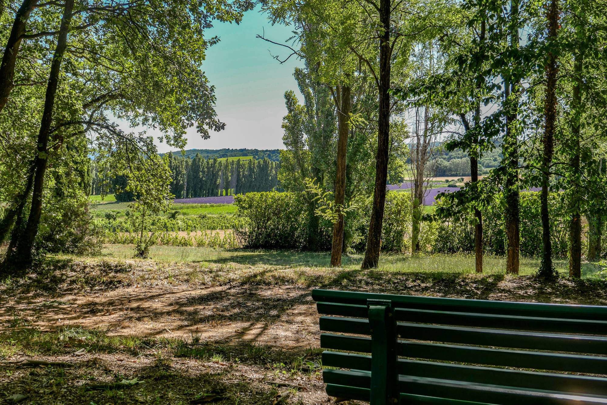 A vendre Bastide d'exception au coeur de l'Enclave des Papes