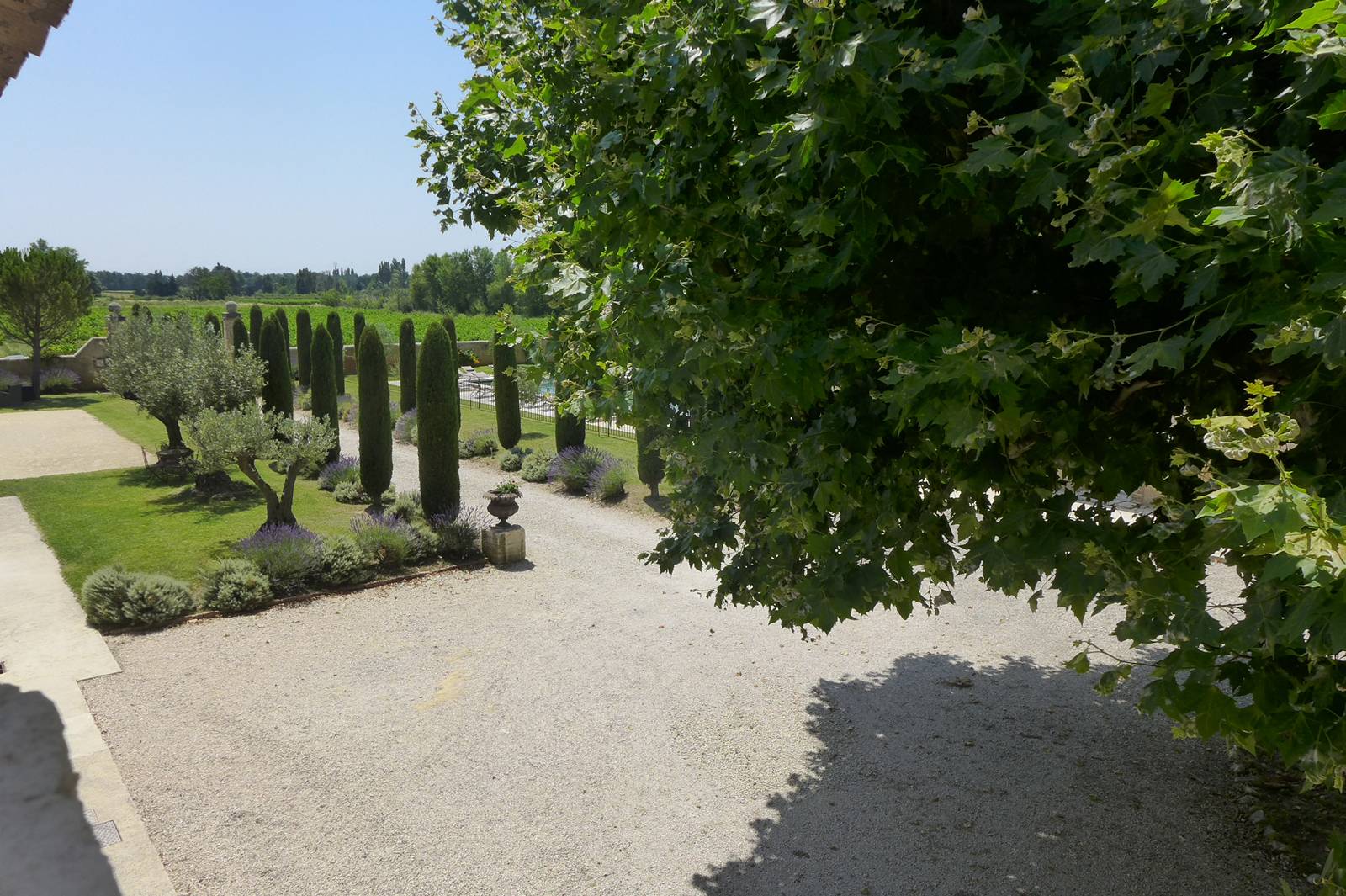 Vue depuis la terrasse 