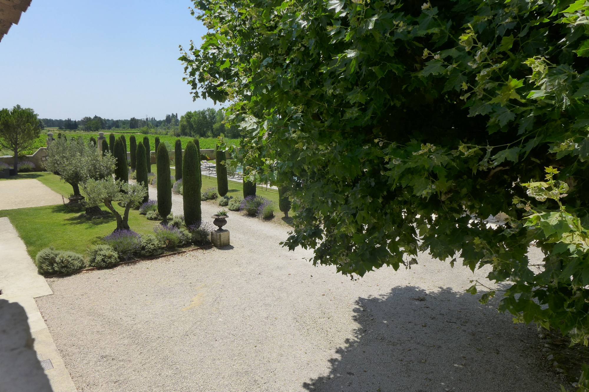 au milieu des vignes, pied à terre idéal pour des balades à vélo