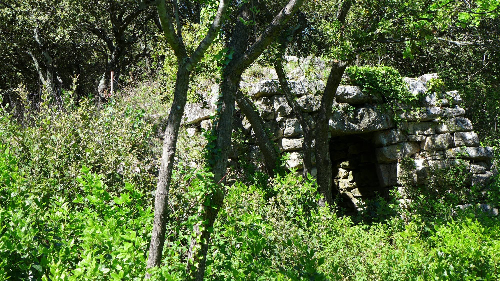 Magnifique villa avec grand terrain à Saint Paul Trois Châteaux