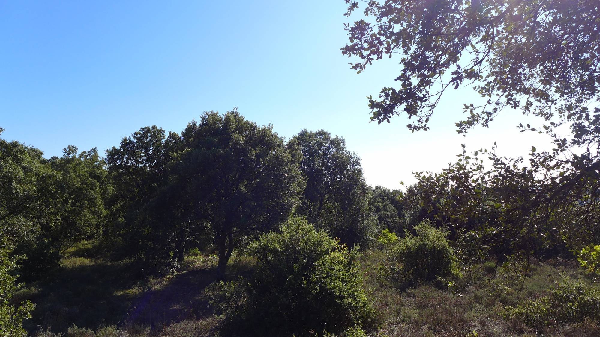 terrain à batir Saint Restitut