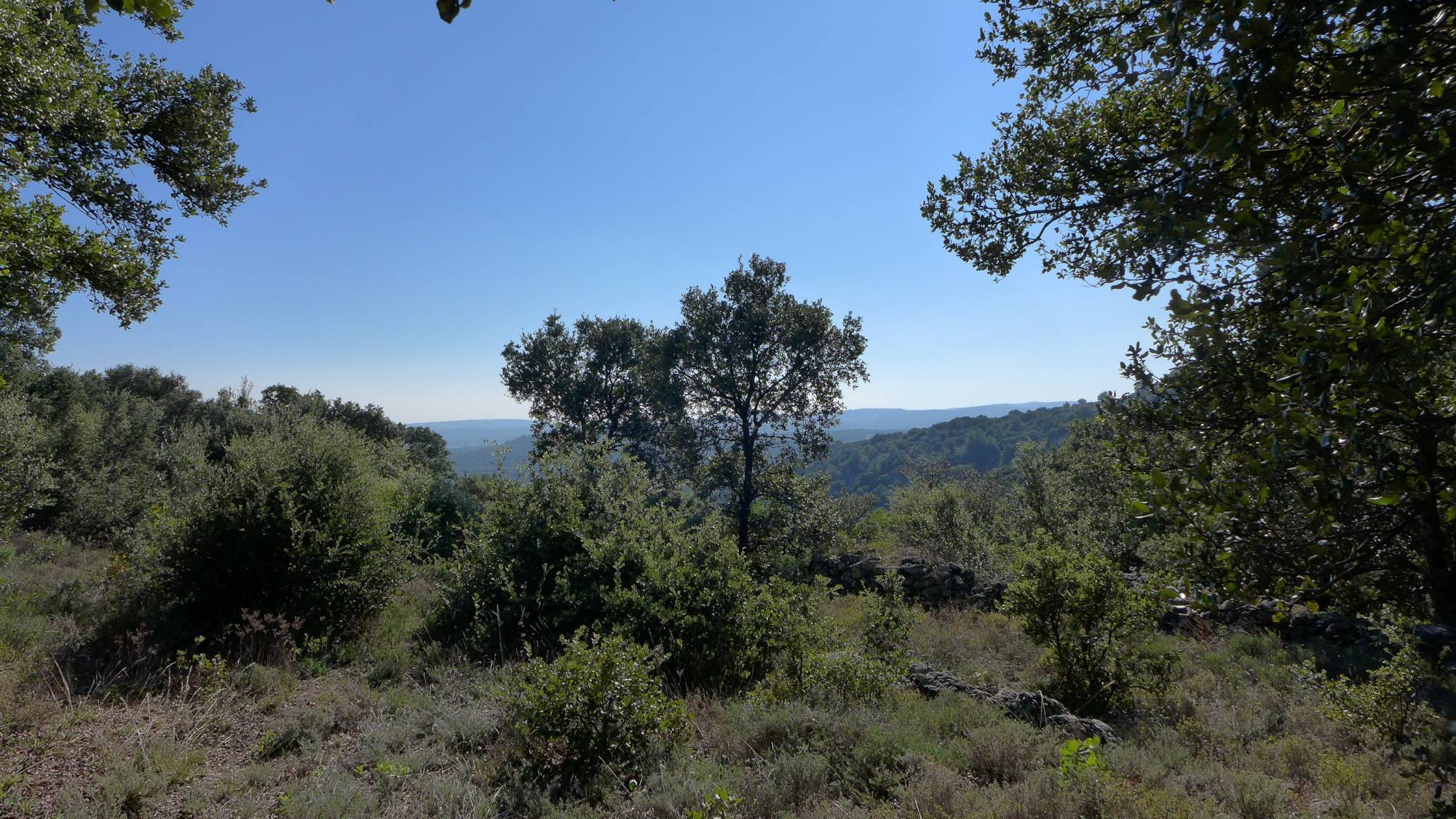 Terrain à bâtir VENDU PAR MIRANDA IMMOBILIER Saint Restitut  