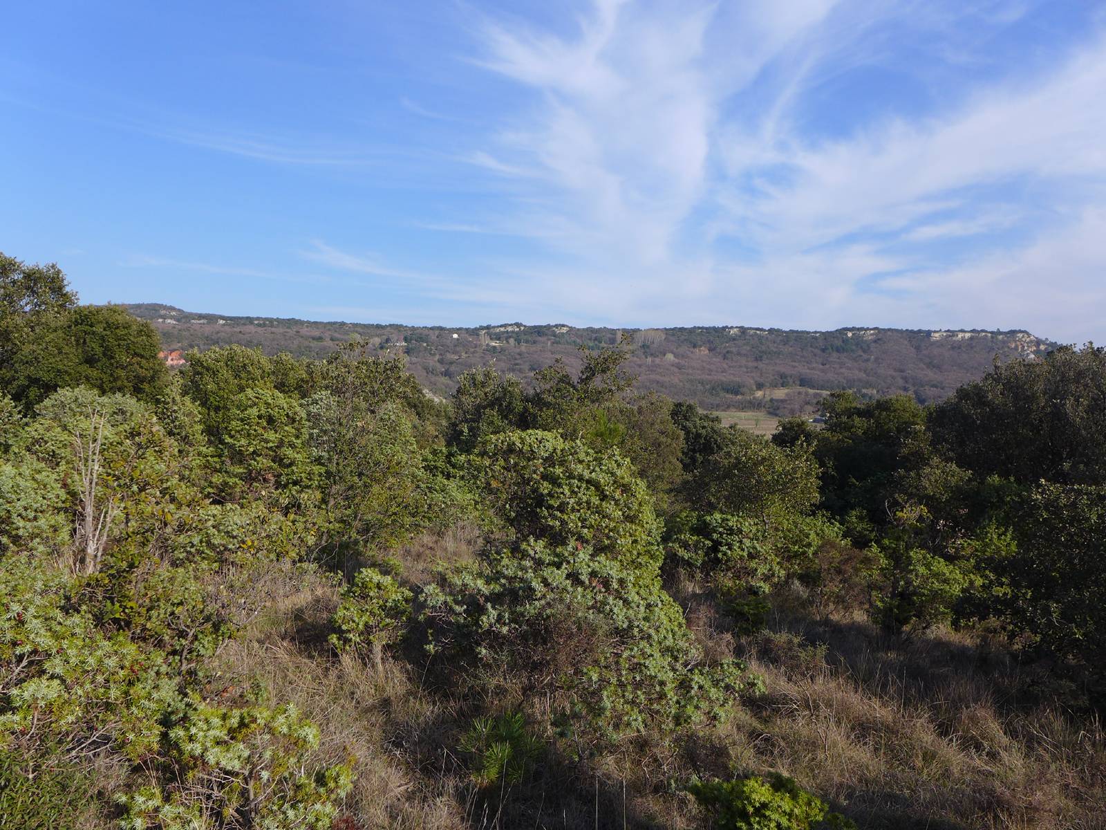 TERRAIN A BATIR 26130