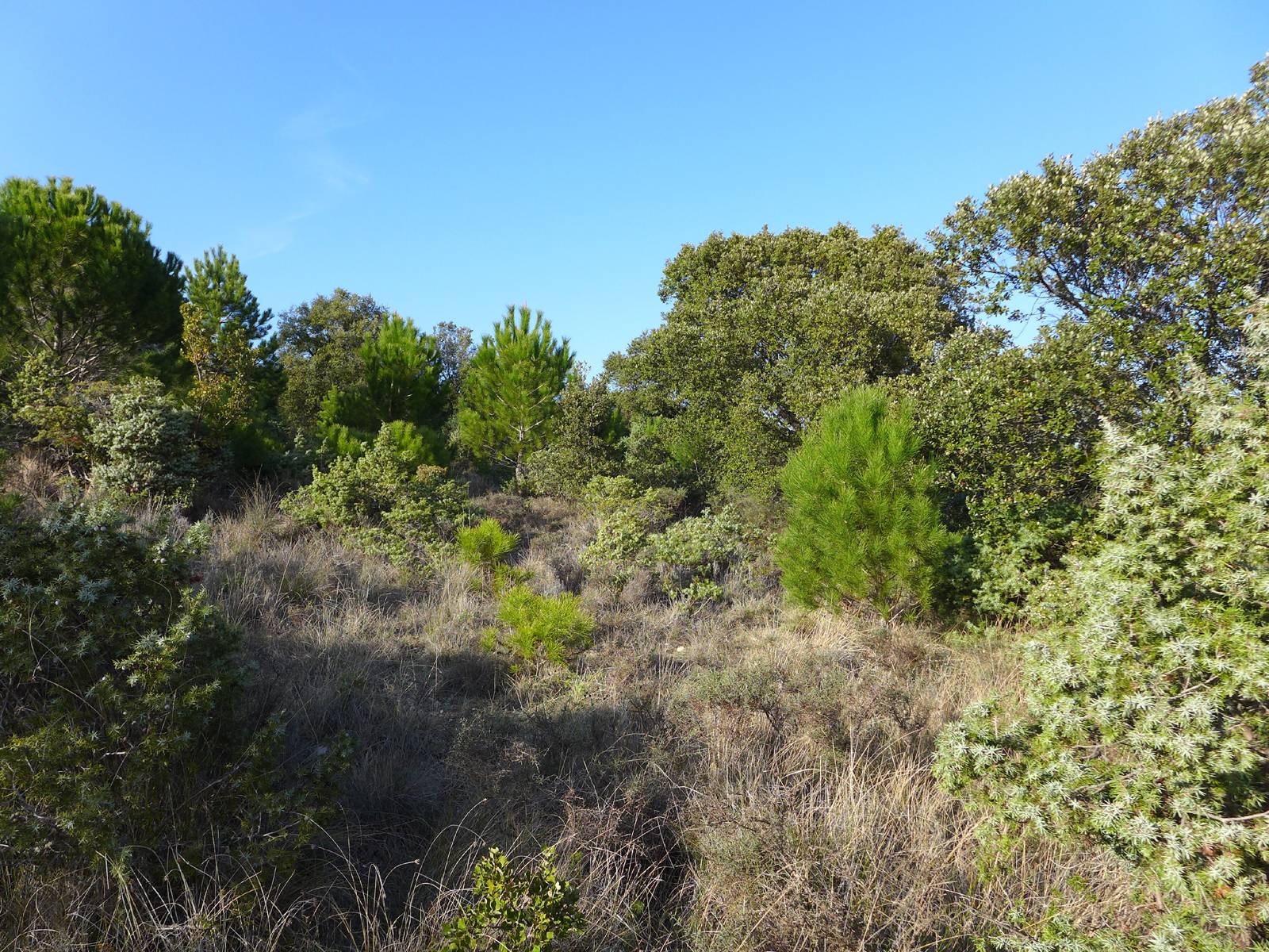 Très beau terrain  à Clansayes, VENDU PAR NOS SOINS