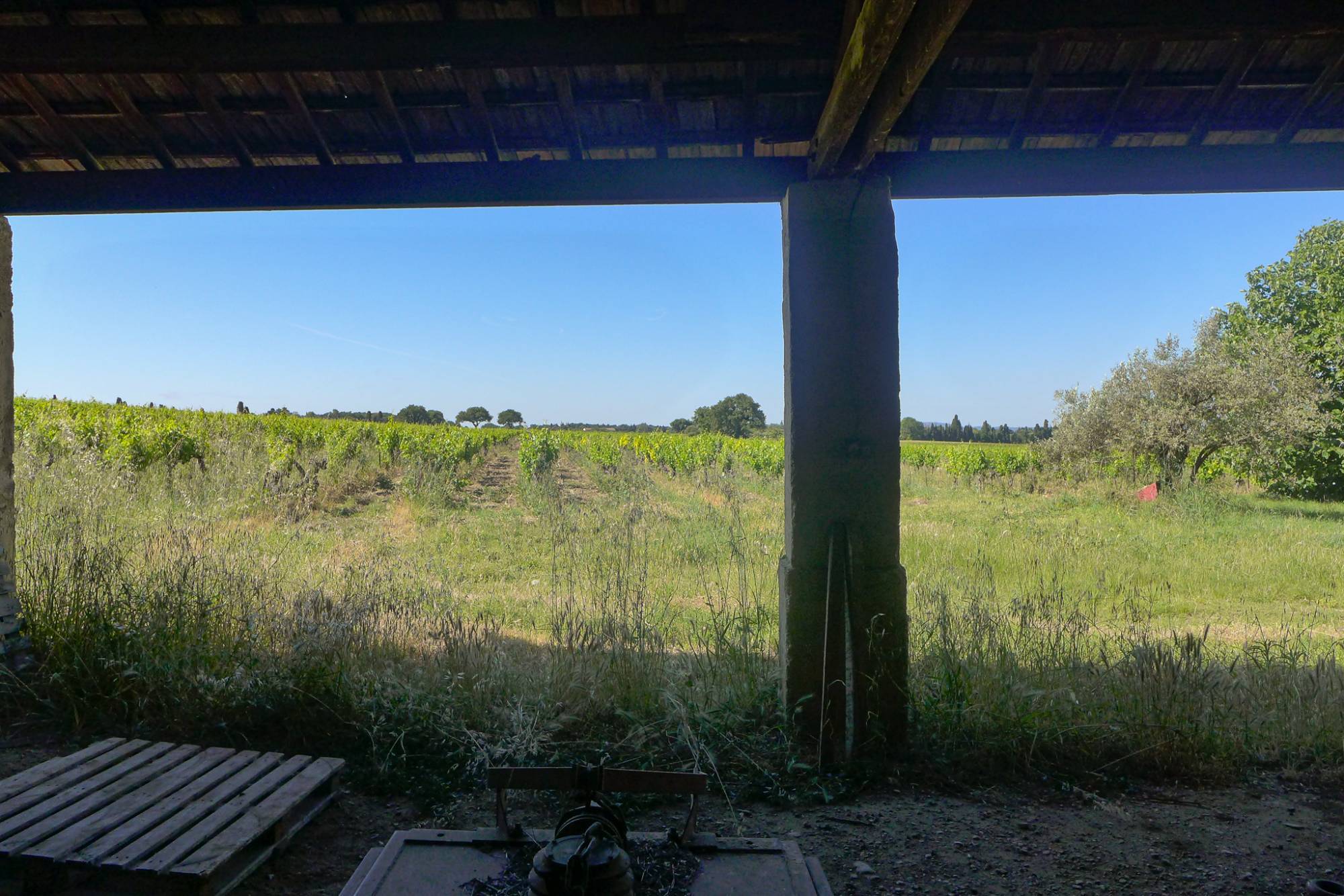 Propriété viticole -Enclave des Papes Richerenches  