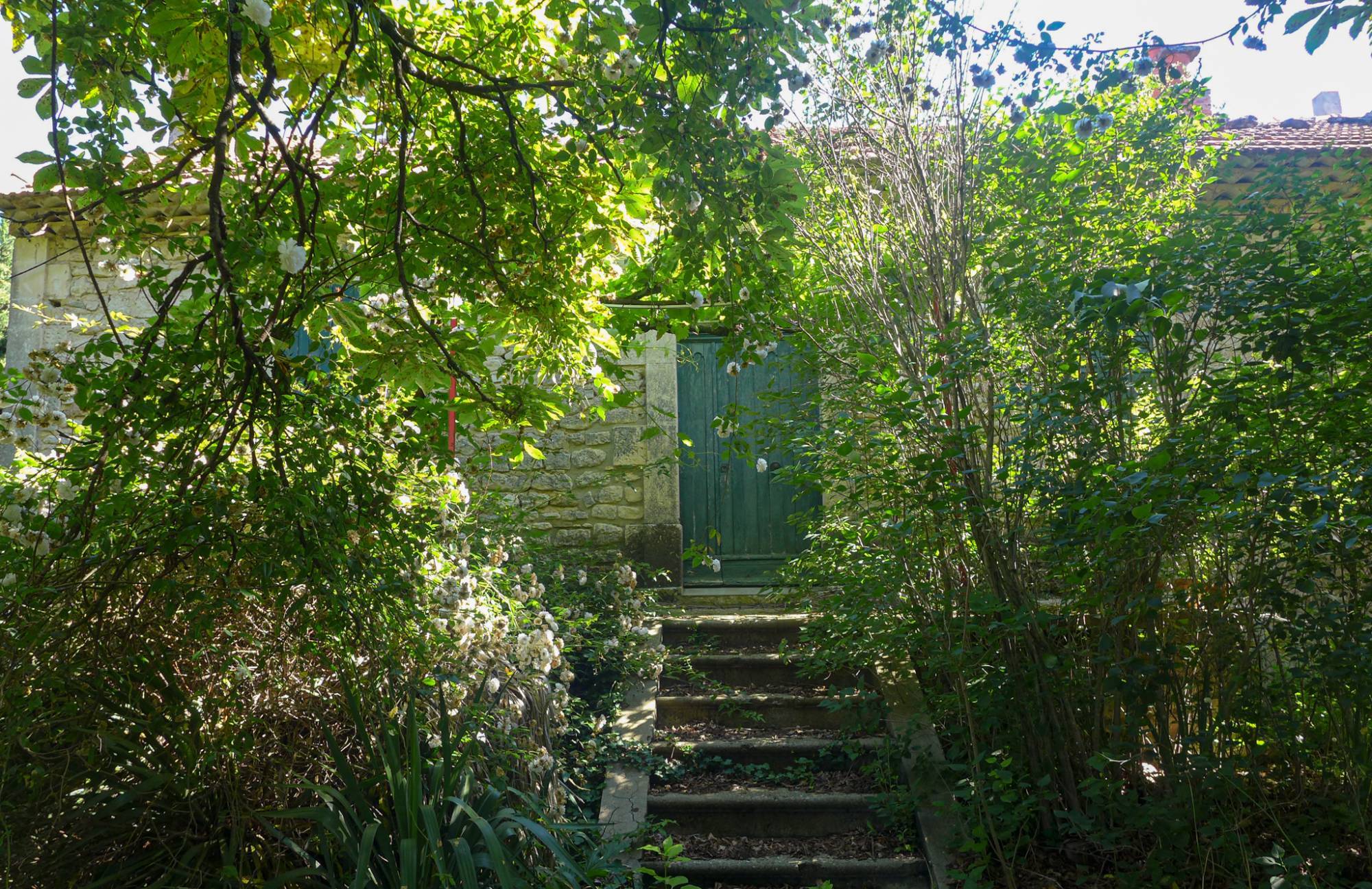 Propriété viticole -Enclave des Papes Richerenches  