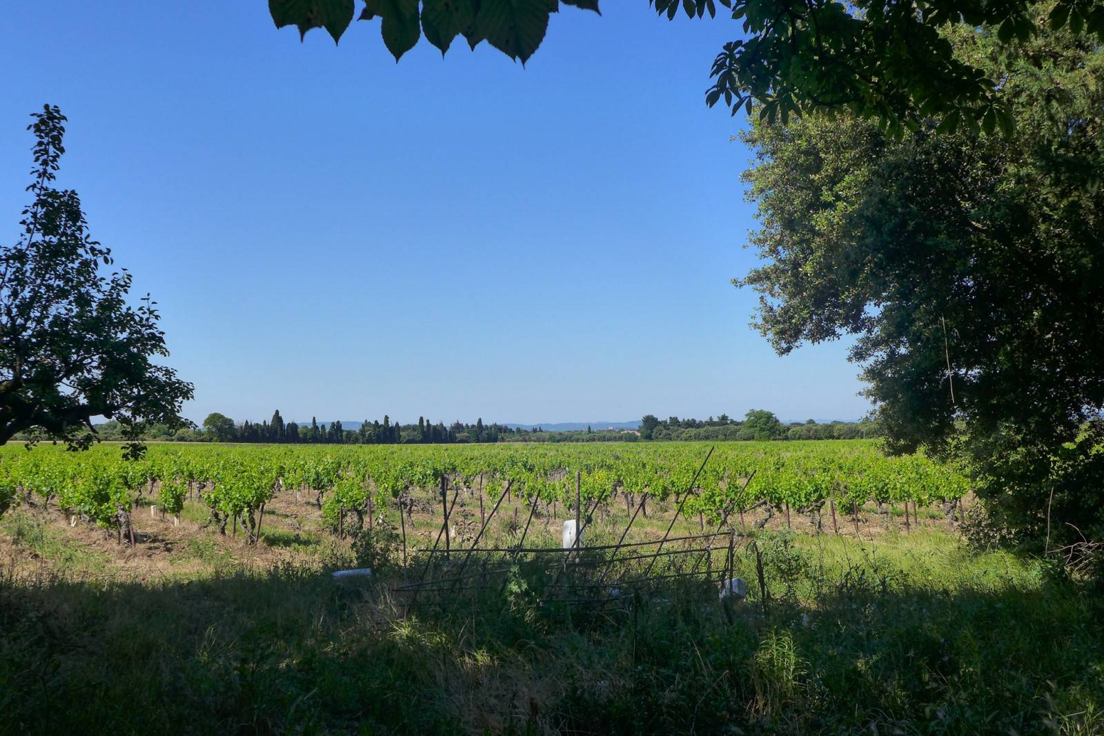 Domaine viticole à vendre Cotes du Rhône 