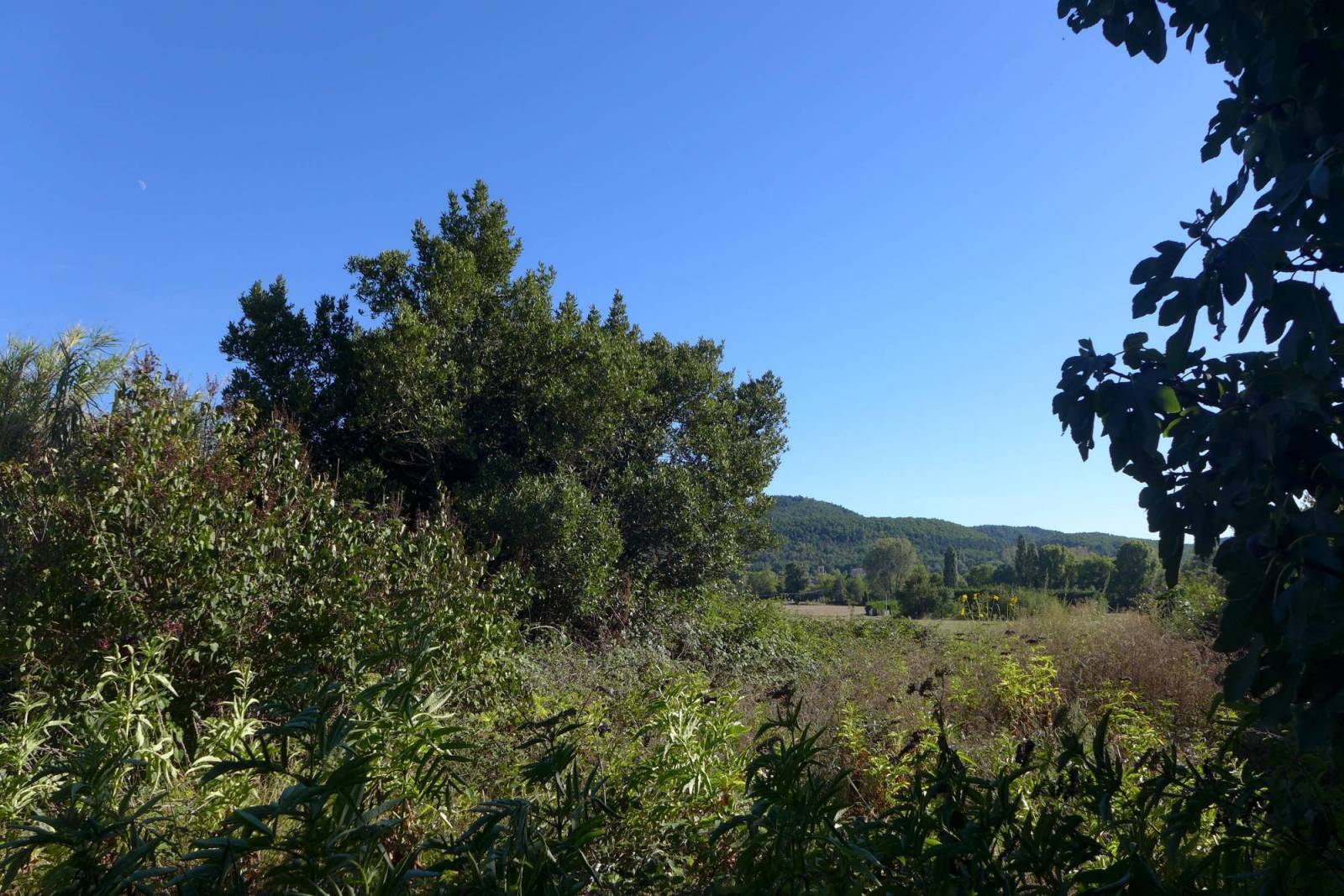 Mas à restaurer et ses dépendances VENDU PAR NOS SOINS Espeluche  