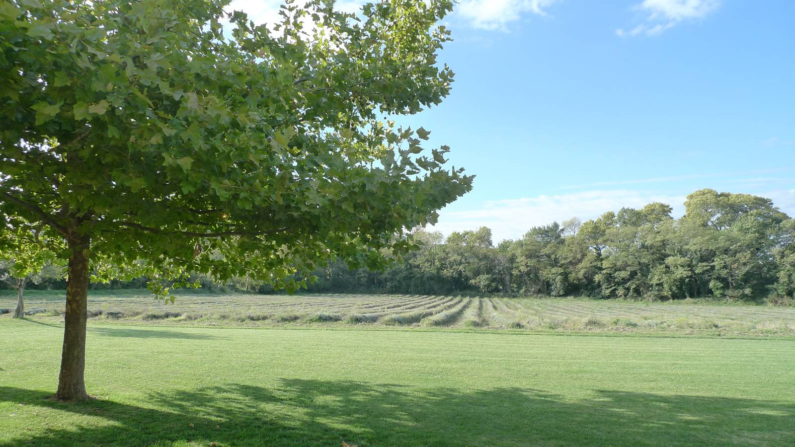 mas de caractere à vendre golf de la valdaine