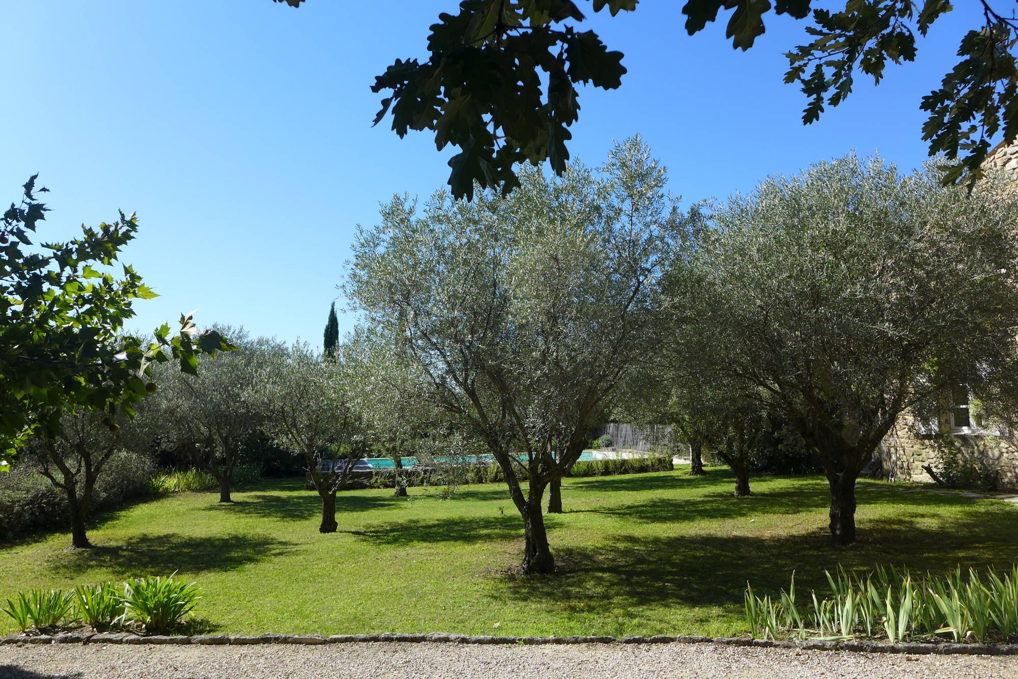Haut Vaucluse, tranquillité assurée pour ce mas restauré, VENDU  PAR Miranda Immobilier