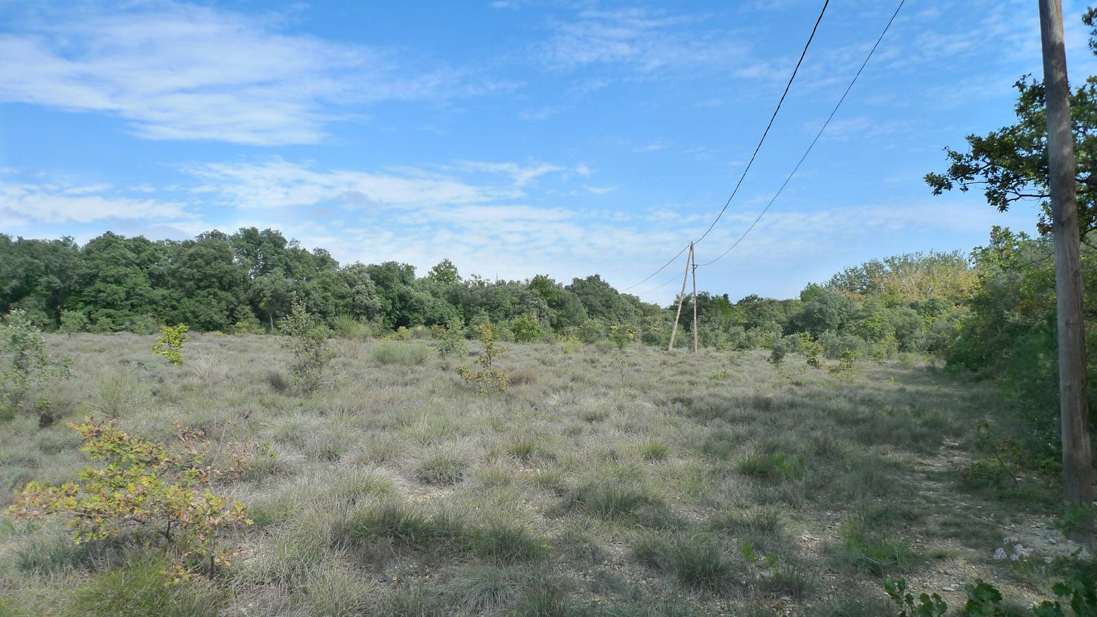 Agence Christine Miranda immobilier 