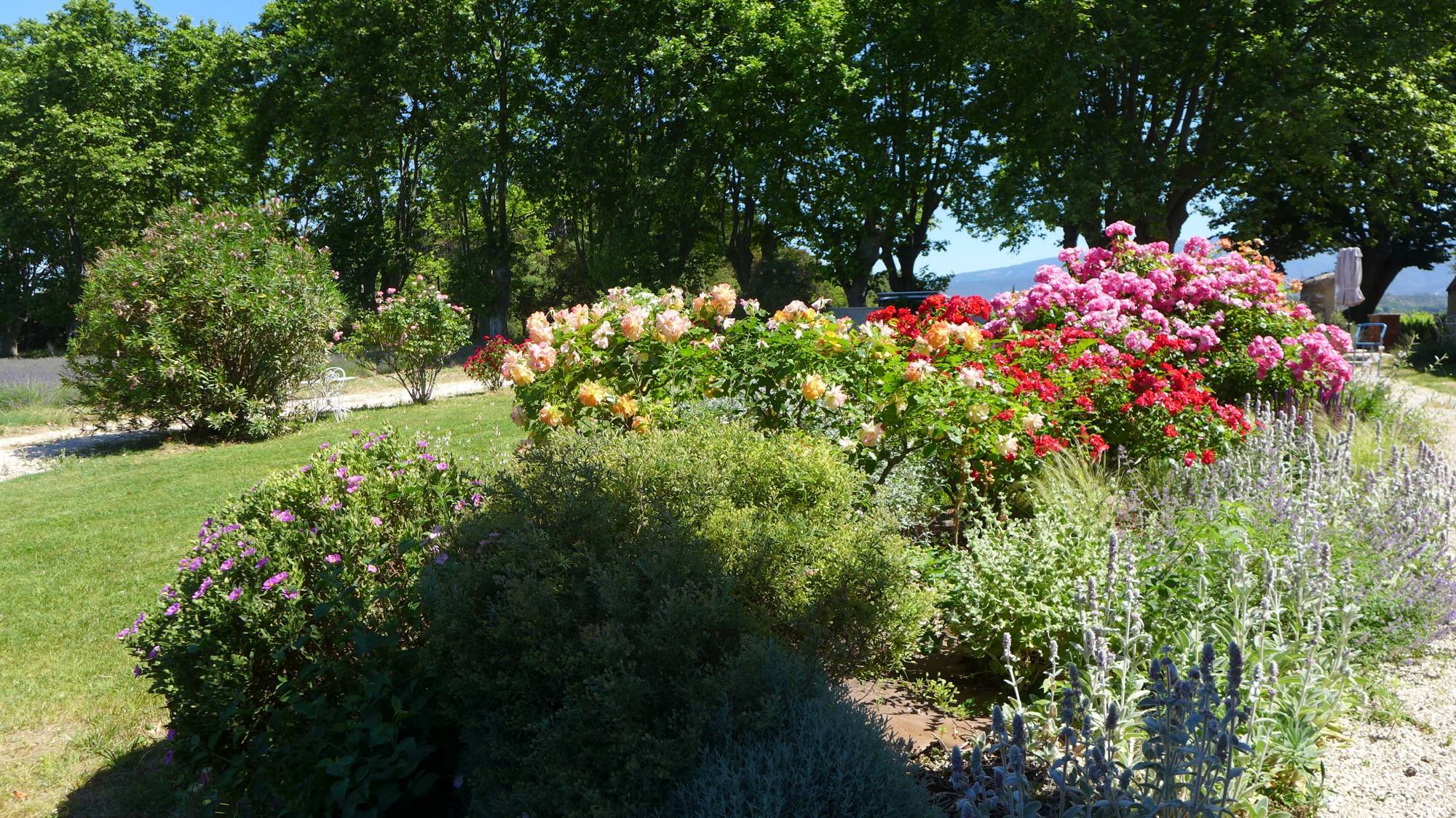 A vendre très beau duplex dans un cadre enchanteur .....