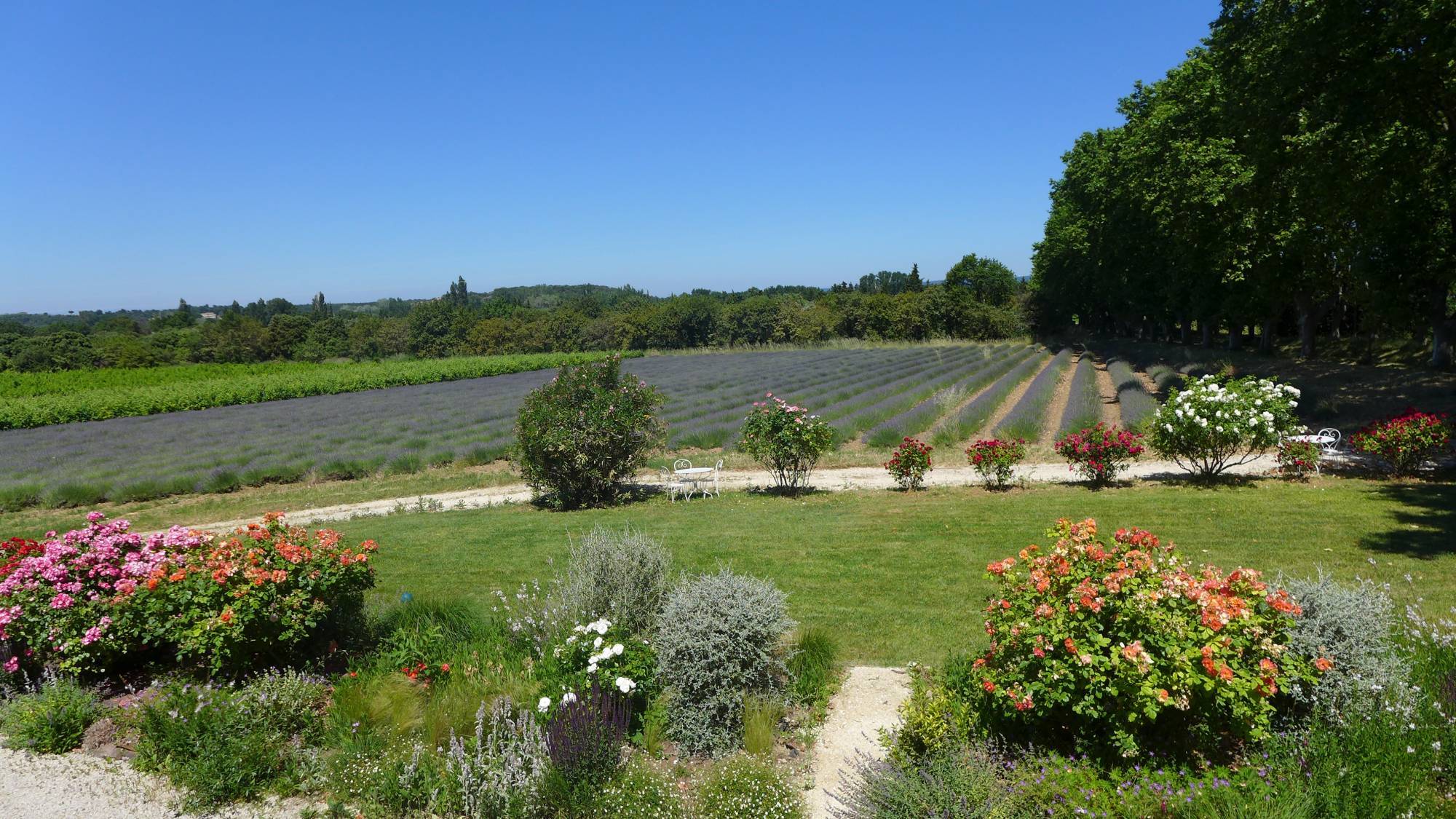A vendre très beau duplex dans un cadre enchanteur .....
