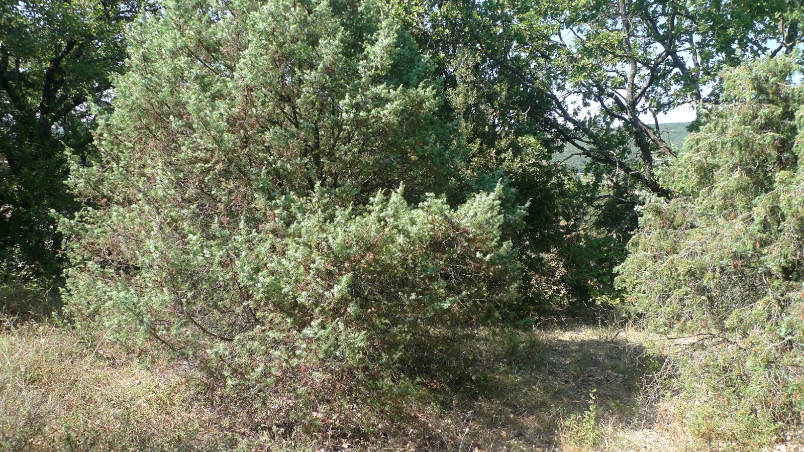  Saint Montan Vue dégagée, compromis  Saint Montan En campagne,  Vue dégagée, compromis 