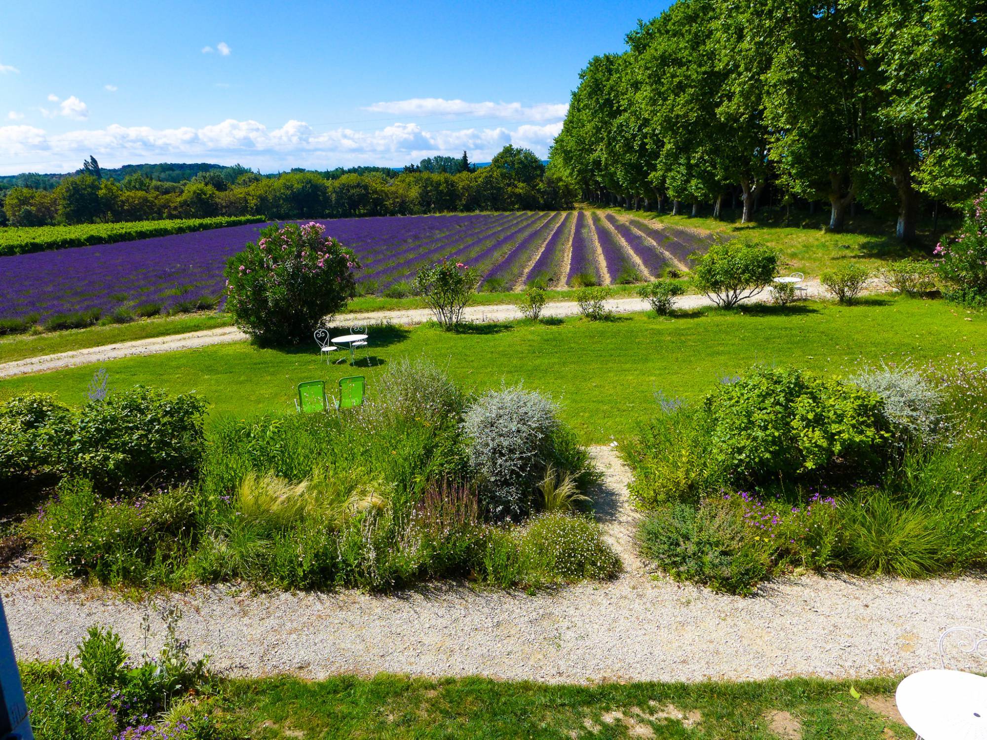 A vendre, votre résidence de vacances au milieu des lavandes 