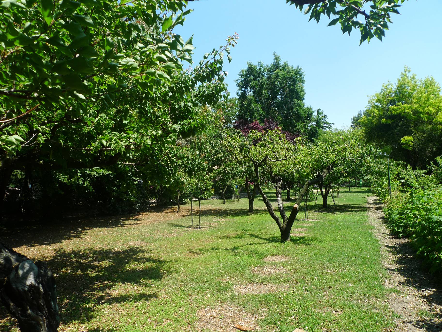 Mas de village à vendre sur SAINT PAUL TROIS CHATEAUX