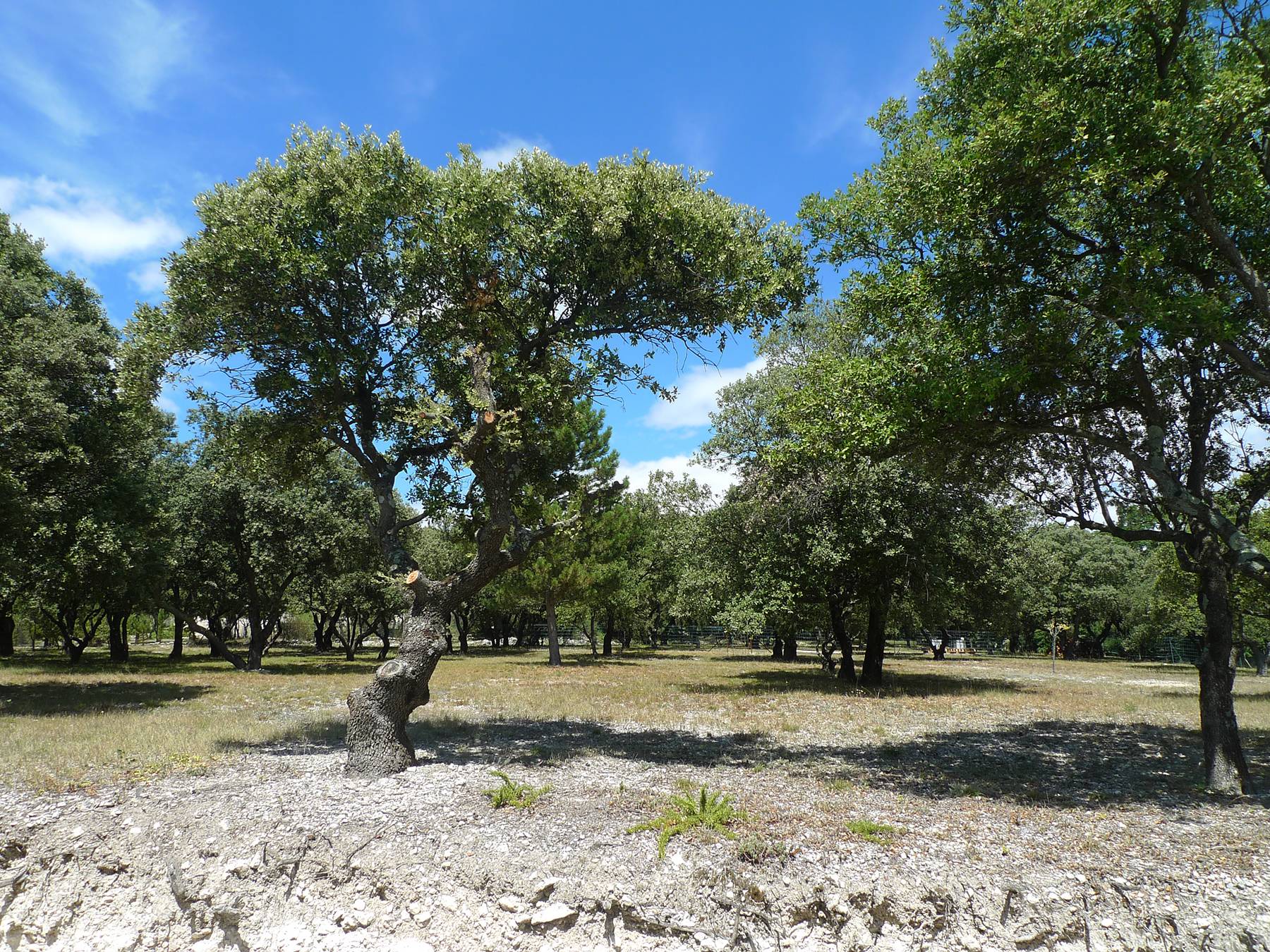Une très belle réalisation dans le secteur de Grignan
