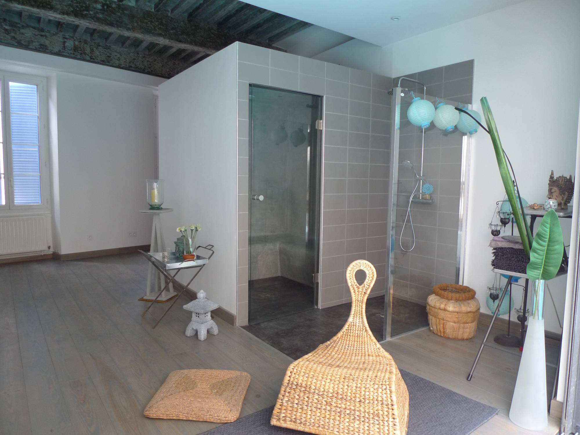 Appartement de caractère au centre ville avec terrasse sur les toits