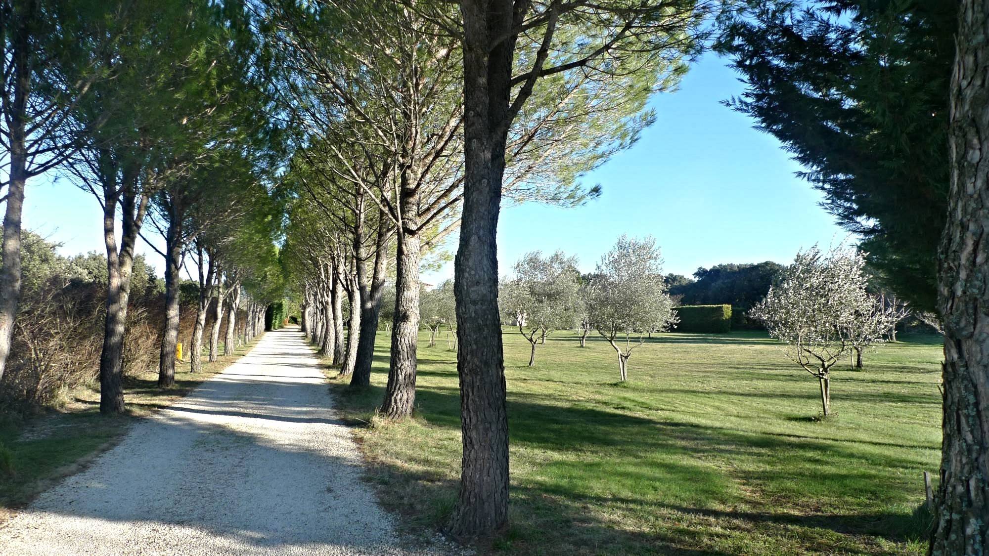 Enclave des Papes, Villa avec 1ha de terrain et piscine
