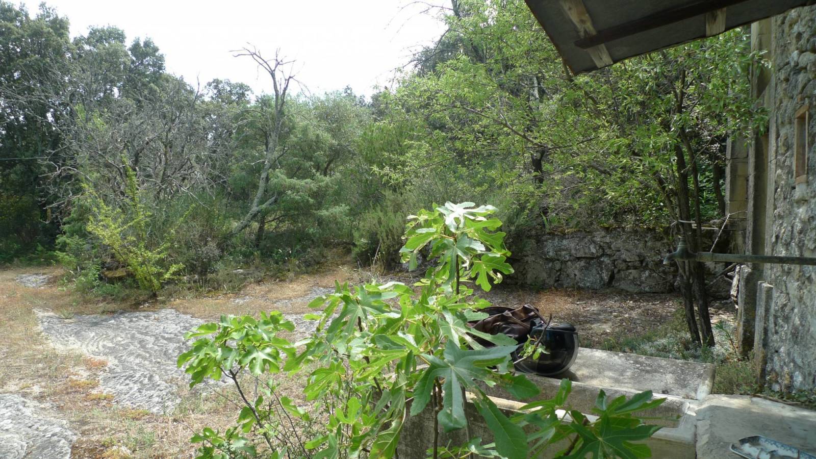 RARE, Exclusivité, secteur St Restitut, Mazet à restaurer St Restitut  