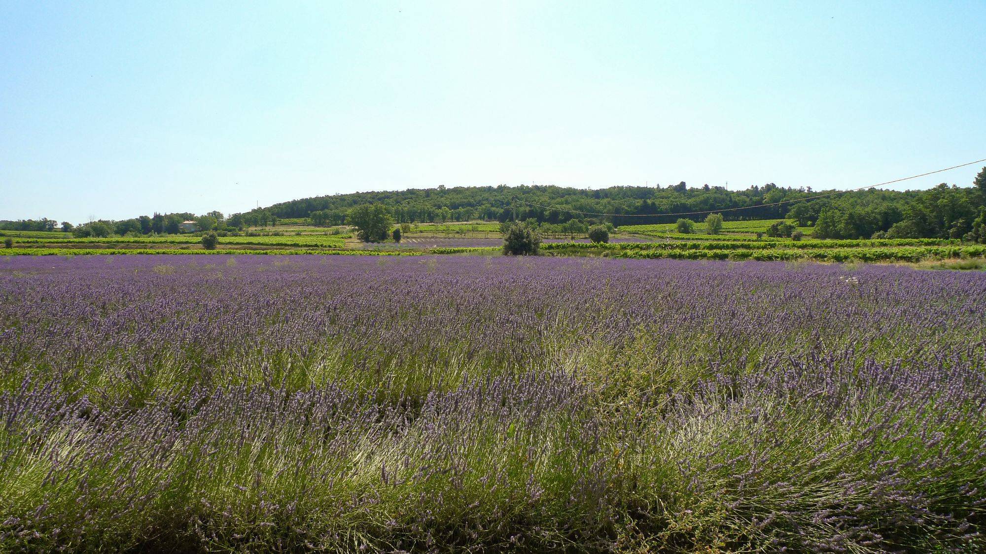 A vendre Un Mas en Provence..... Charme et confort