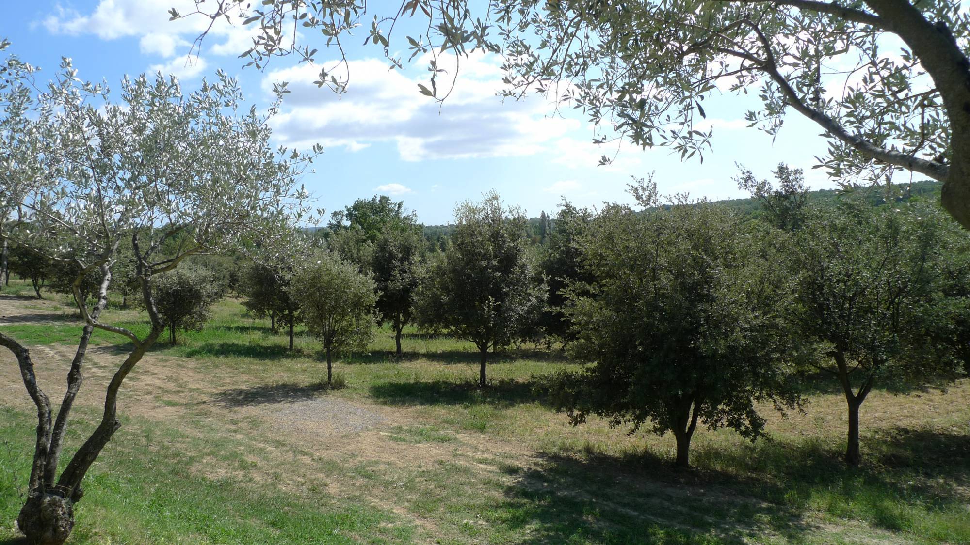 Bastide Provençale à vendre ,environnement calme et protégé, secteur Grignan