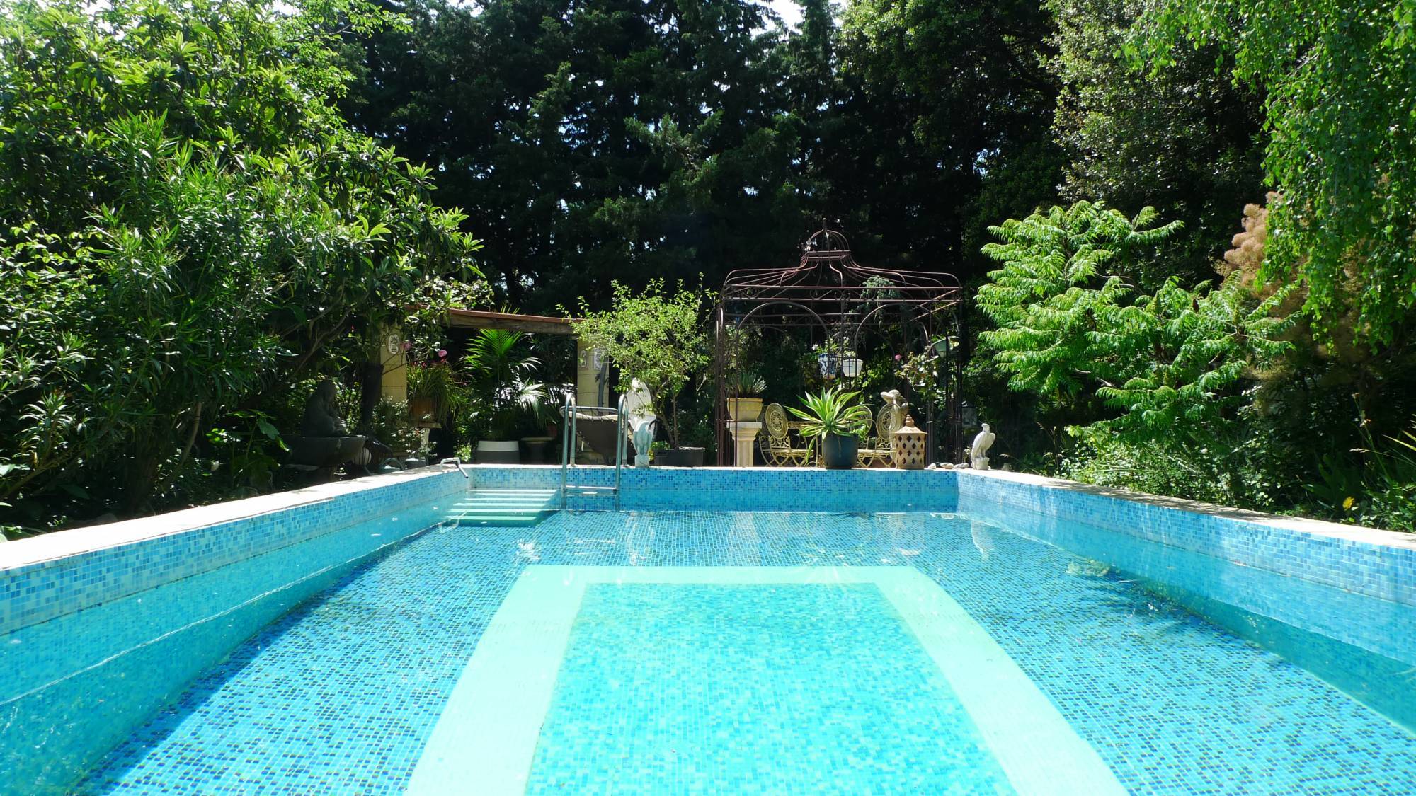 Tel un jardin tropical....