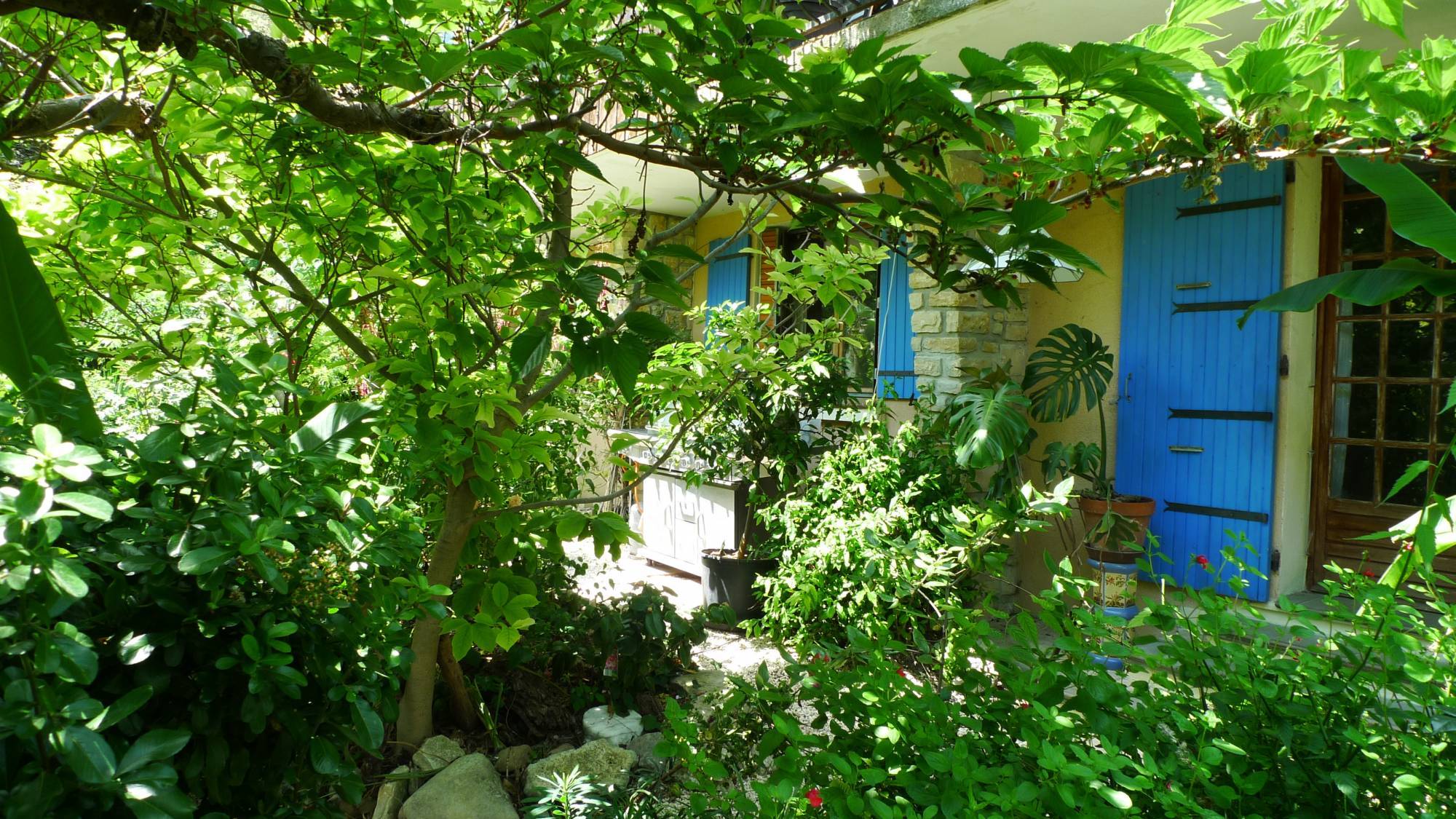 ProcheTaulignan, maison dans environnement naturel, VENDUE par l'agence Christine Miranda immobilier 