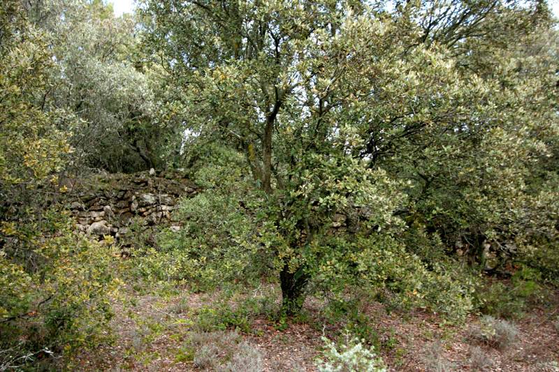Terrain à  batir Terrain à  batir
